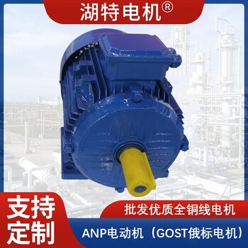 ANP俄羅斯電機(jī)廠家批發(fā)