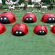 戶外七星瓢蟲雕塑公司產(chǎn)品圖