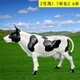 曲阳县公园玻璃钢仿真奶牛雕塑生产厂家,动物雕塑大全展示图