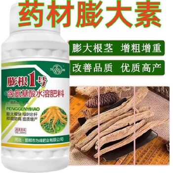 膨根1號膨大根莖藥材膨根