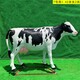 曲阳县创意玻璃钢仿真奶牛雕塑订制,动物雕塑大全图