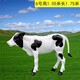 玻璃鋼仿真奶牛雕塑圖