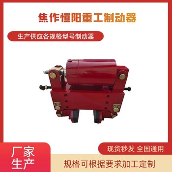 商洛輪邊防風(fēng)制動器報(bào)價(jià),YLBZ25-160輪邊制動器
