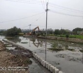 江苏堤坝防洪桩仿木水泥树木桩水泥桩价位