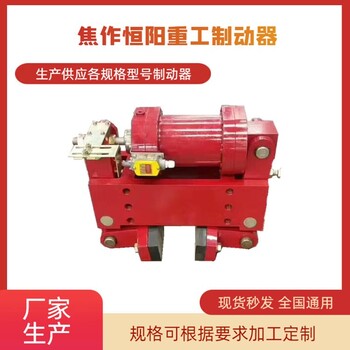 包頭YLBZ63-210輪邊防風制動器