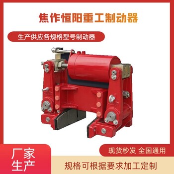 酒泉輪邊防風(fēng)制動(dòng)器專賣YLBZ25-160輪邊制動(dòng)器廠家
