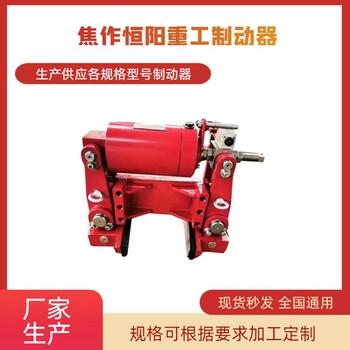 商洛輪邊防風(fēng)制動器報(bào)價(jià),YLBZ25-160輪邊制動器