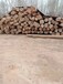 一级老榆木装修板材厂家现货,农村老榆木大量供应