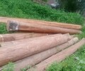 精品老榆木装修板材厂家价格,定制精品老榆木