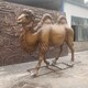加工定制圖