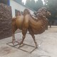 加工制作圖