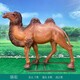 駱駝雕塑圖