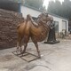 制作廠家圖
