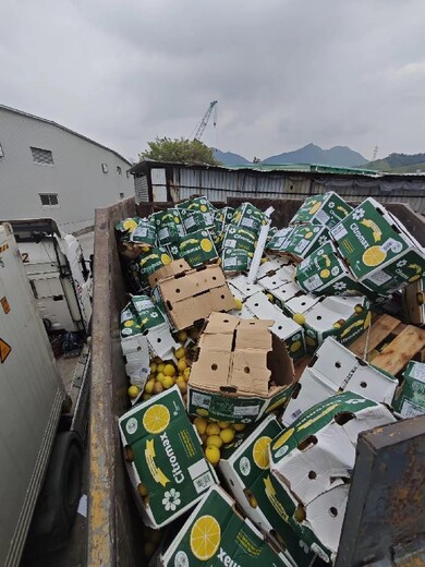 香港跨境货物处理收费标准,香港环保回收公司