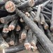 杭州市铜芯电缆线回收公司