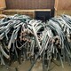 寧波市江北區(qū)電纜頭回收公司展示圖