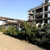滁州整场设备回收废旧拆除回收按口碑排名