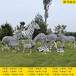 曲阳县供应玻璃钢斑马雕塑加工,斑马动物雕塑厂家
