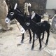 曲陽玻璃鋼毛驢雕塑圖