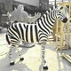 曲陽(yáng)縣公園玻璃鋼斑馬雕塑報(bào)價(jià)及圖片產(chǎn)品圖