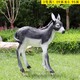 曲陽玻璃鋼毛驢雕塑圖
