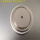 原廠DYNEX平板可控硅晶閘管DCR1674SA42