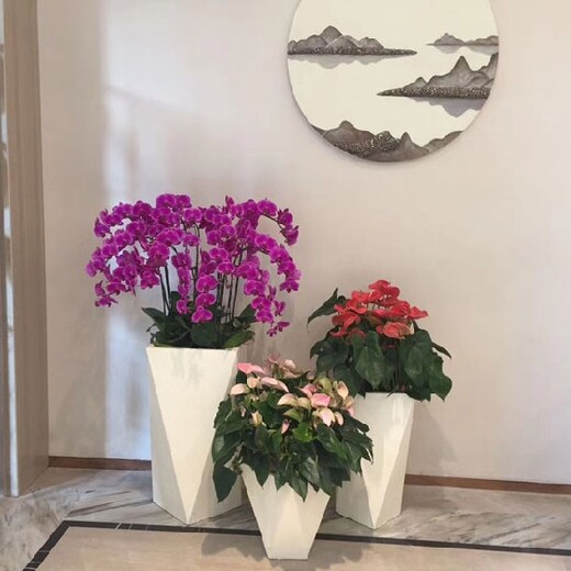 北京办公室花卉租摆,海运仓办公室绿植租赁报价