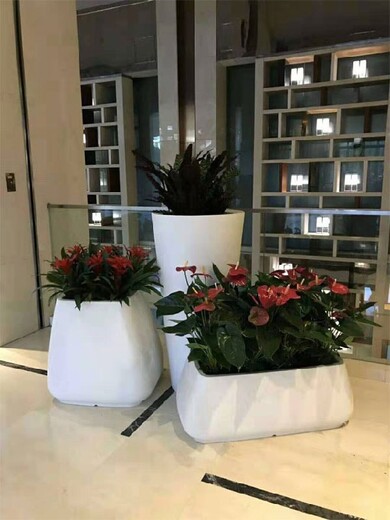 北京辦公室花卉租擺,朝陽(yáng)區(qū)花家地辦公室綠植租賃電話
