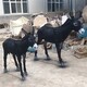 縣供應玻璃鋼毛驢雕塑圖