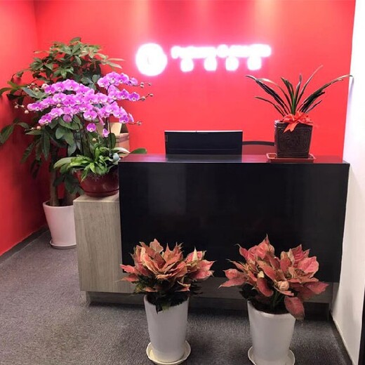 室內(nèi)綠色植物租擺出租,豐臺體育館辦公室綠植租賃