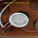 DYNEX丹尼克斯晶閘管DCR5980A18電力分配廠家直銷