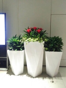 北京办公室花卉租摆,万寿寺办公室绿植租赁
