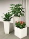 莊辦公室綠植租賃圖