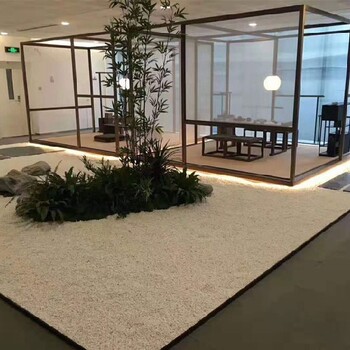 园林绿化室内花卉植物出租,梨园办公室绿植租赁