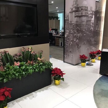 園林綠化室內(nèi)花卉植物出租,萬壽路辦公室綠植租賃費(fèi)用