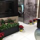 亦莊辦公室綠植租賃圖