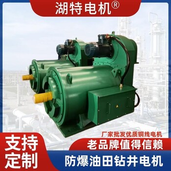YQX油田電機(jī)廠家