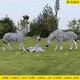 曲陽縣供應玻璃鋼斑馬雕塑公司,斑馬動物雕塑廠家產品圖