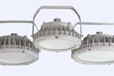 FGV1202LED防爆燈免維護-壁掛式安裝