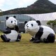 几何不锈钢大熊猫雕塑摆件图