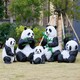 定做大熊貓雕塑，動物雕塑模型產品圖