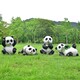 商业街大熊猫雕塑，动物雕塑落地摆件产品图