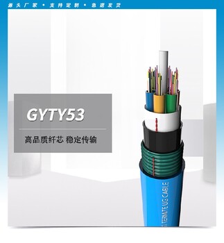 室外光缆gyftzy36芯光缆国标质量