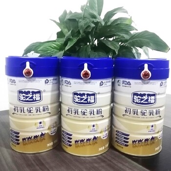 代理駱駝奶粉省市級(jí)代理駝之福駝乳粉批發(fā)