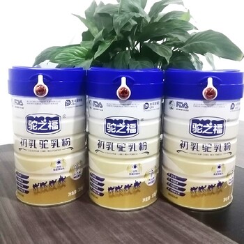 代理駱駝奶粉省市級(jí)代理駝之福駝乳粉批發(fā)