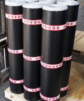 上海塑性体APP改性沥青防水卷材厂家