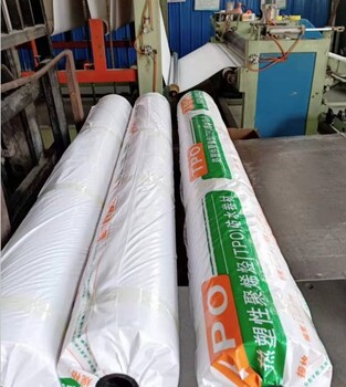 广东销售聚氯乙烯PVC防水卷材厂家