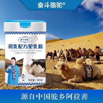 驼乳营养粉奋斗骆驼初乳驼奶粉加盟.