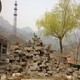庭院設計圖
