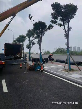 管道檢測(cè)重慶細(xì)致管道疏通